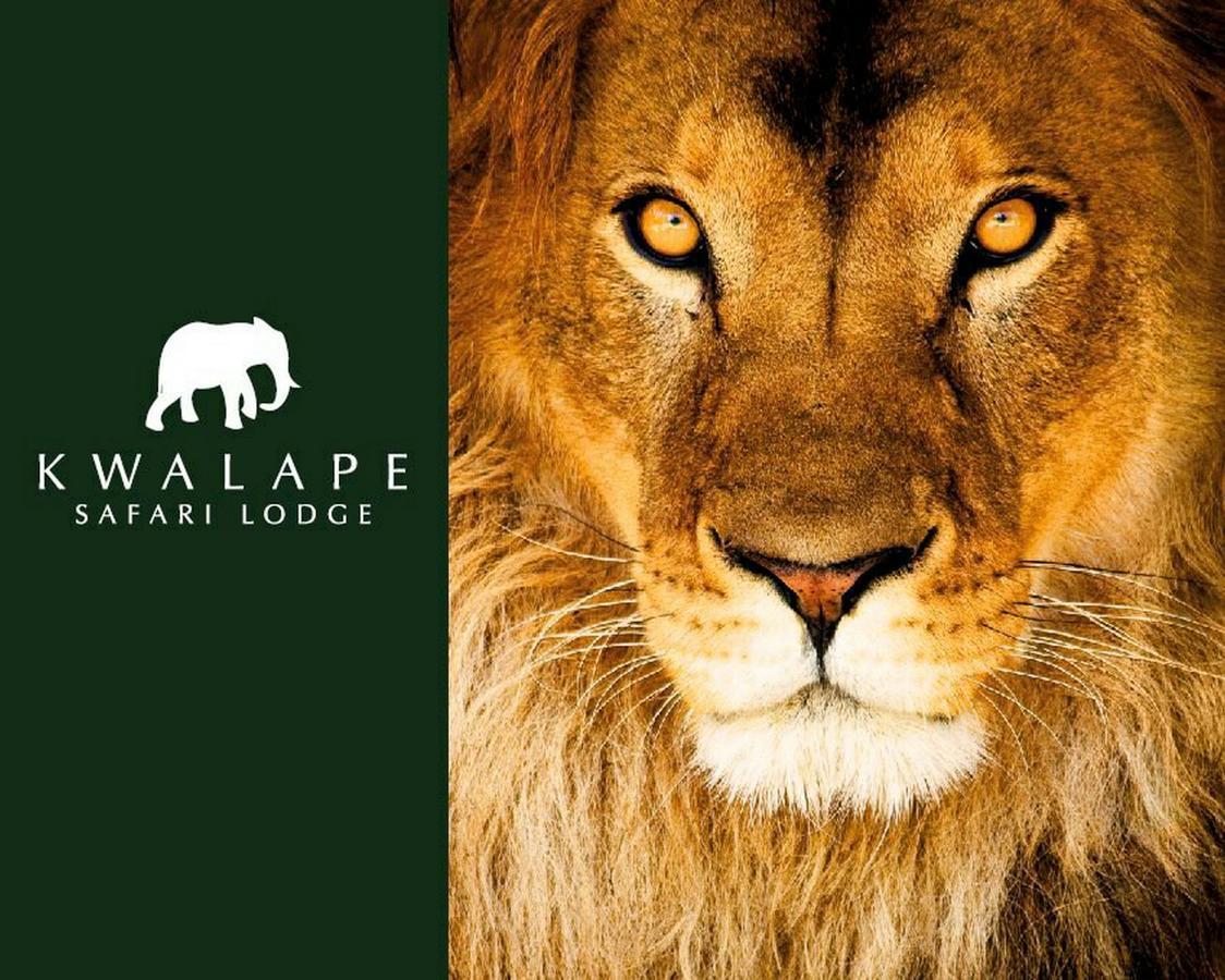 Kwalape Safari Lodge 卡萨内 外观 照片