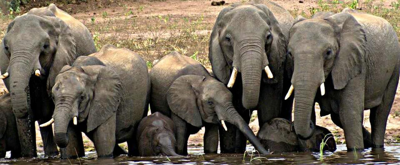 Kwalape Safari Lodge 卡萨内 外观 照片