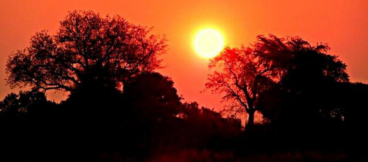 Kwalape Safari Lodge 卡萨内 外观 照片
