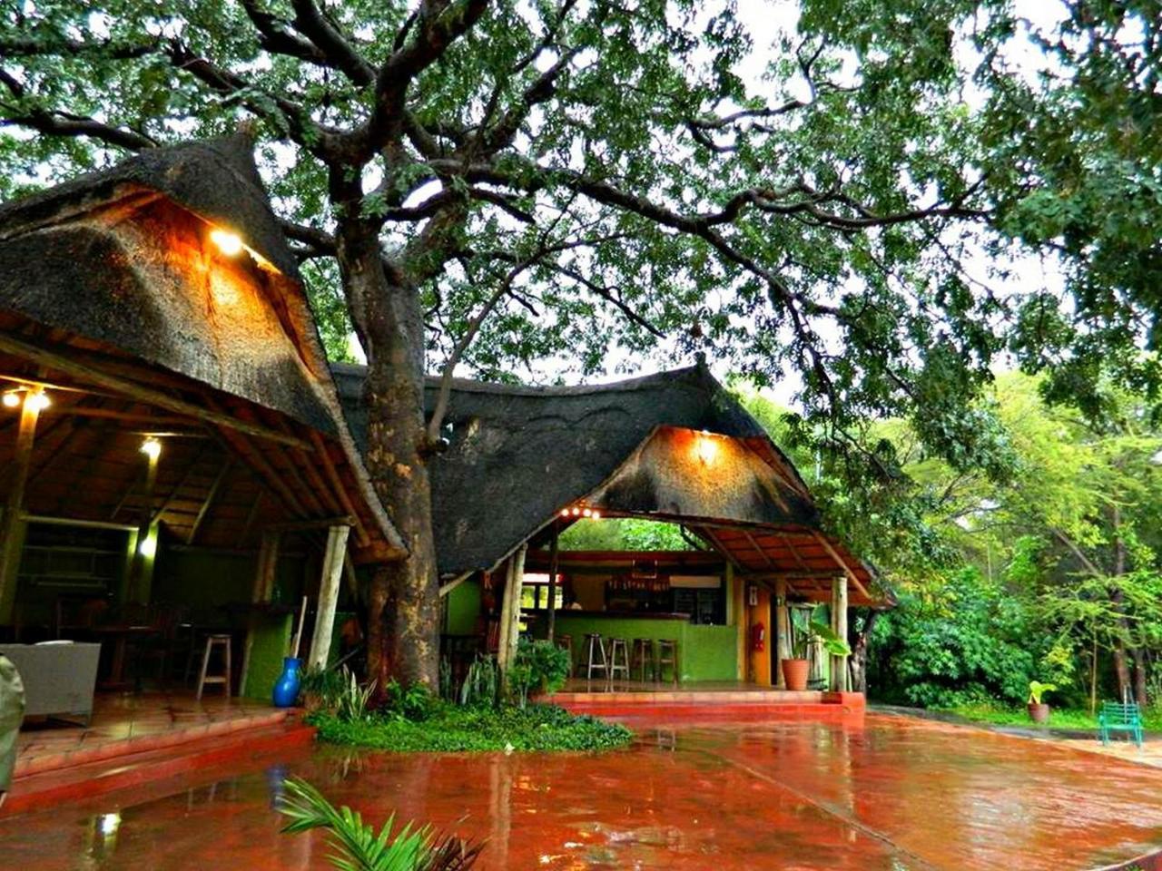 Kwalape Safari Lodge 卡萨内 外观 照片