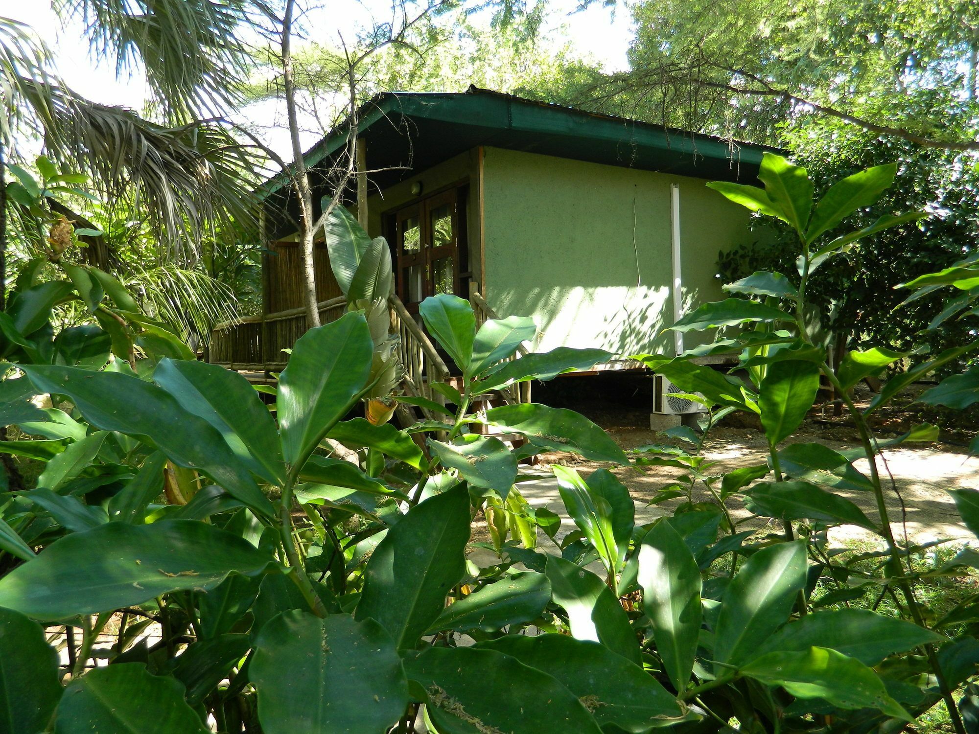 Kwalape Safari Lodge 卡萨内 外观 照片