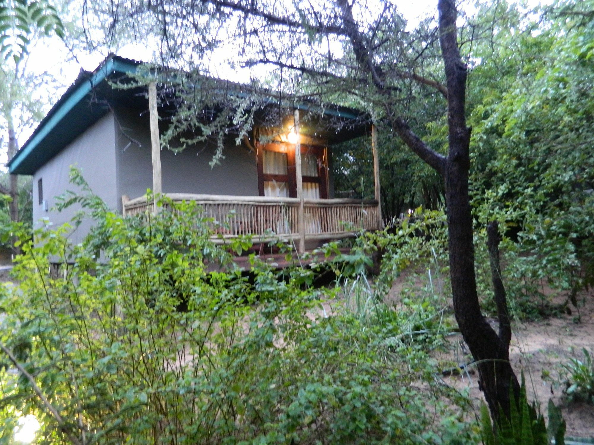 Kwalape Safari Lodge 卡萨内 外观 照片